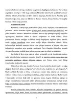 Summaries, Notes 'Itālijas māksla un arhitektūra viduslaikos', 11.