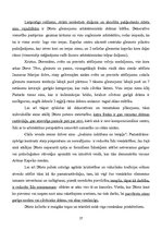 Summaries, Notes 'Itālijas māksla un arhitektūra viduslaikos', 27.