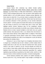 Summaries, Notes 'Itālijas māksla un arhitektūra viduslaikos', 29.