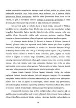Summaries, Notes 'Itālijas māksla un arhitektūra viduslaikos', 39.