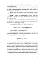 Term Papers 'Uzņēmuma "Repa Ring" darbinieku motivācijas sistēmas analīze un uzlabošana', 13.