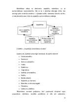 Term Papers 'Uzņēmuma "Repa Ring" darbinieku motivācijas sistēmas analīze un uzlabošana', 14.