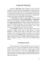 Term Papers 'Uzņēmuma "Repa Ring" darbinieku motivācijas sistēmas analīze un uzlabošana', 28.