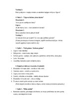 Samples 'Vecmeitu ballītes scenārijs: jautrība, draudzība un neaizmirstami mirkļi”', 2.