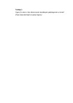 Samples 'Vecmeitu ballītes scenārijs: jautrība, draudzība un neaizmirstami mirkļi”', 4.