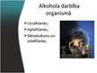 Presentations 'Alkohola iedarbība uz cilvēka organismu', 5.