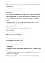 Samples 'Literatūra – lasīšana, izpratne un radošā domāšana', 4.