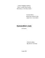 Research Papers 'Komandfaili (.bat)', 13.