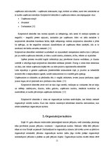Term Papers 'Sabiedrisko attiecību instrumenti SIA "6.prāts" organizācijas kultūras veidošanā', 15.