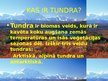 Presentations 'Tundra', 2.