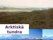 Presentations 'Tundra', 3.