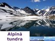 Presentations 'Tundra', 4.