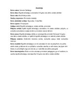 Term Papers 'Digitālo tehnoloģiju izmantošana 5-6 gadus vecu bērnu valodas attīstībai', 2.