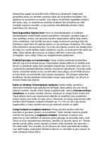 Summaries, Notes 'Vikingu vēsture, kultūra, mitoloģija, sabiedrība un kultūras mantojums', 23.