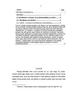 Research Papers 'Starptautiskie revīzijas standarti', 2.