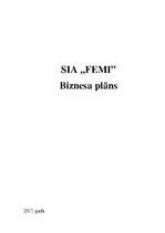 Business Plans 'SIA "Femi" biznesa plāns', 1.