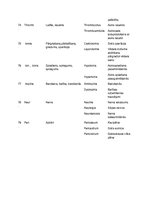 Summaries, Notes 'Terminoloģija medicīnā latīņu valodā', 13.