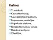 Presentations 'Trauslo kaulu sindroms', 3.