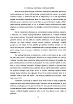 Term Papers 'Katalogs kā mākslas darba forma', 11.