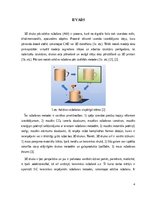 Research Papers 'Sic un sic/si keramikas ražošanas metodes, izmantojot aditīvo ražošanu', 4.
