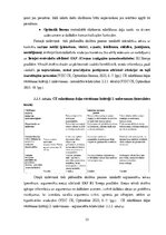 Term Papers 'Diferencēti norādījumi 5. klases skolēnu stāstu rakstīšanas prasmju attīstībai a', 22.