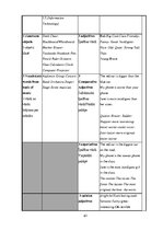 Term Papers 'Diferencēti norādījumi 5. klases skolēnu stāstu rakstīšanas prasmju attīstībai a', 63.