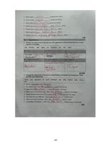 Term Papers 'Diferencēti norādījumi 5. klases skolēnu stāstu rakstīšanas prasmju attīstībai a', 143.