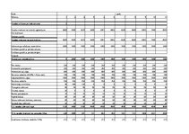 Summaries, Notes 'SIA "Mobil Auto" - biznesa plāns (finanšu tabula)', 1.