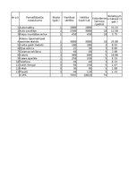 Summaries, Notes 'SIA "Mobil Auto" - biznesa plāns (finanšu tabula)', 5.