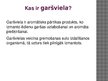 Presentations 'Garšvielas', 2.