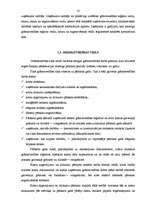 Research Papers 'Grāmatvedības organizācijas sistēma SIA S un tās pilnveidošanas iespējas', 10.