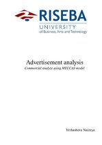 Summaries, Notes 'Advertisement Analysis', 1.
