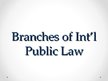 Presentations 'Branches of International Public Law', 1.