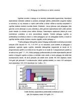 Research Papers 'LR izglītības sistēmas problēmas un risinājumi', 13.