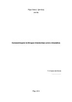 Research Papers 'Konstantinopole kā Eiropas tirdzniecības centrs viduslaikos', 1.