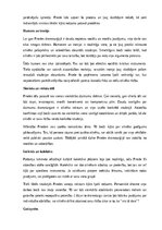 Summaries, Notes 'Gunārs Priede', 11.