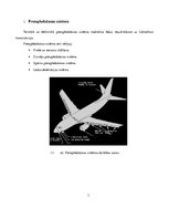 Research Papers 'Boeing B737NG gāzu un šķidrumu sistēmas', 33.