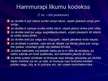 Presentations 'Valdnieks Hammurapi', 7.