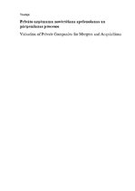 Term Papers 'Privāto uzņēmumu novērtēšana apvienošanas un pārņemšanas procesos', 1.