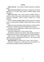 Term Papers 'Privāto uzņēmumu novērtēšana apvienošanas un pārņemšanas procesos', 3.