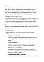 Essays 'Uzņēmējdarbības attīstība Latvijā: izaicinājumi, iespējas un nākotnes perspektīv', 1.