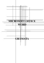Presentations 'Grāmata par MS Word lietojumprogrammas funkciju skaidrojumiem', 1.