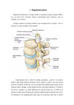 Research Papers 'Muguras sāpes. Ķirurģiskā ārstēšana un aprūpe', 4.