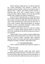 Term Papers 'Grāmatvedības darba organizācija komercuzņēmumā', 10.