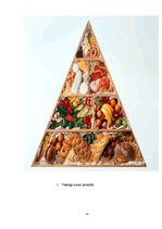 Research Papers 'Pilnvērtīgas pārtikas sastāvs. Pārtikas piramīda', 13.