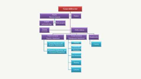 Presentations 'State Forest Service Republic of Latvia', 5.