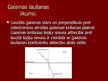 Presentations 'Optikas likumi', 6.