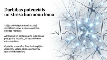 Presentations 'Videospēļu ietekme uz smadzeņu attīstību un uzmanību', 5.