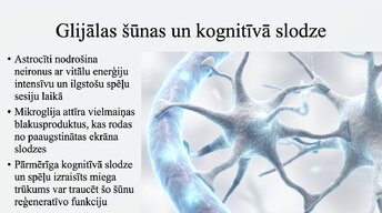 Presentations 'Videospēļu ietekme uz smadzeņu attīstību un uzmanību', 9.