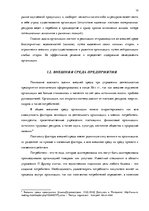 Term Papers 'Анализ вешней и внутренней среды компании "Skaisto skatu aģentūra"', 10.